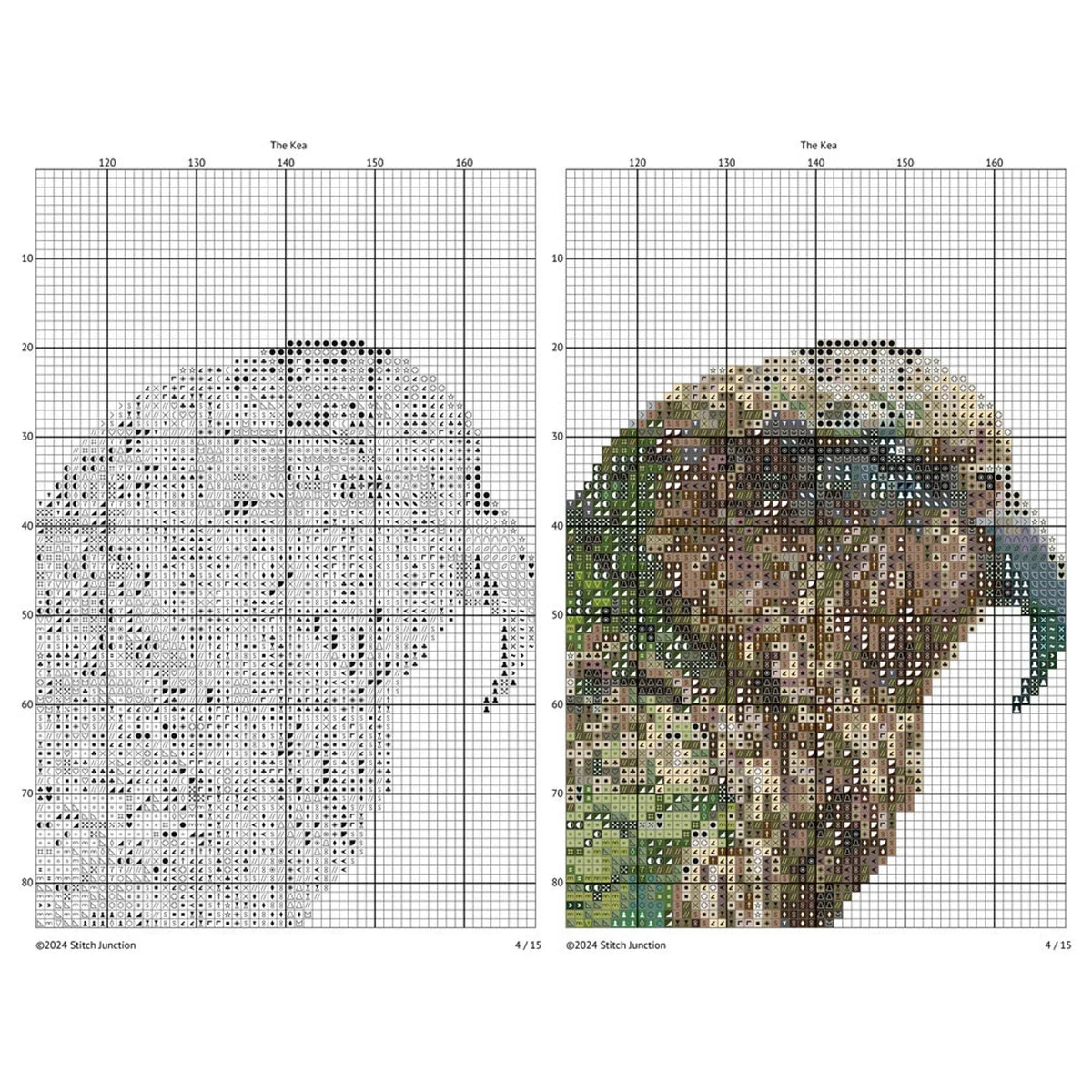 New Zealand Kea Cross Stitch Pattern. Native New Zealand Bird Cross-Stitch Pattern in watercolor tones. Digital PDF Download