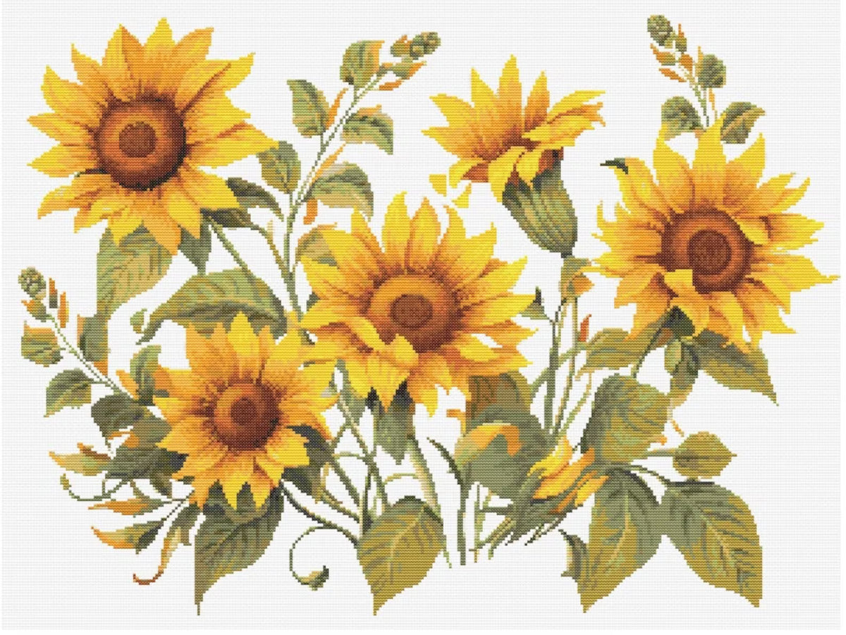 Sunflower Wildflowers Botanical Cross Stitch Sewing Modern Embroidery Pattern Instant DMC Download Bunch of Flowers Beginner