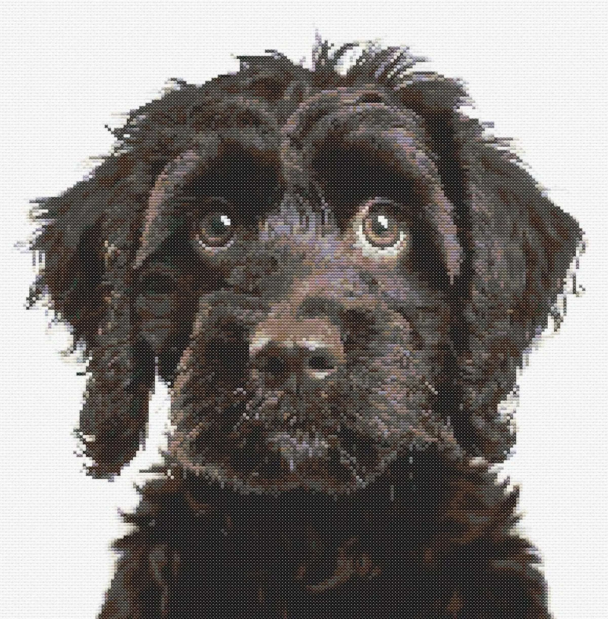 Cockerpoo B Dog Cross Stitch Pattern Sewing Embroidery DMC Wildlife Africa Australia Nursery Artwork Scandi Doggo Minimal Dog Pet Gift